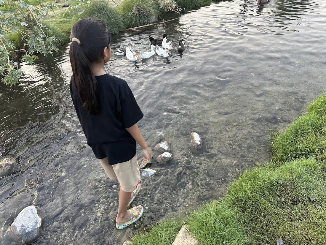 迈赫干谷,马斯喀特